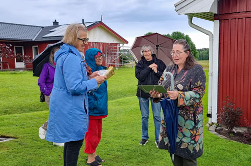 Hörnefors trädgårdssällskap